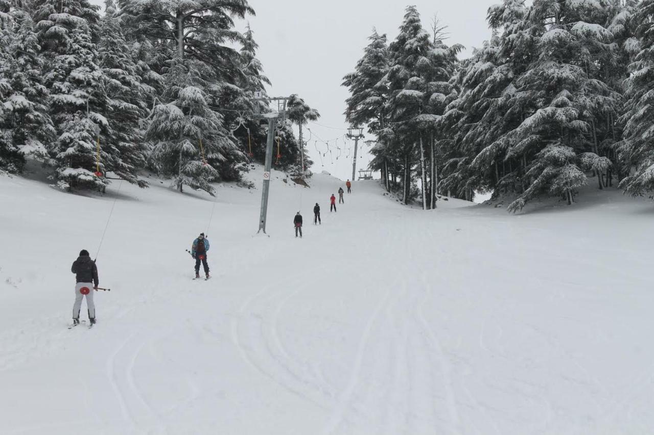 Un Havre De Paix A Ifrane Appartement Ifrane  Buitenkant foto